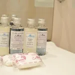 马雷海逸酒店 4* 阿尔贝纳